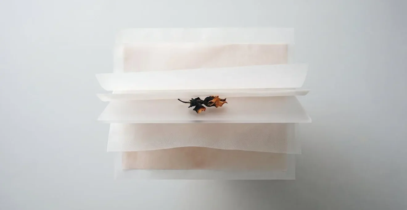 Abstract representation of skin layers and immune response through layered translucent materials and organic textures